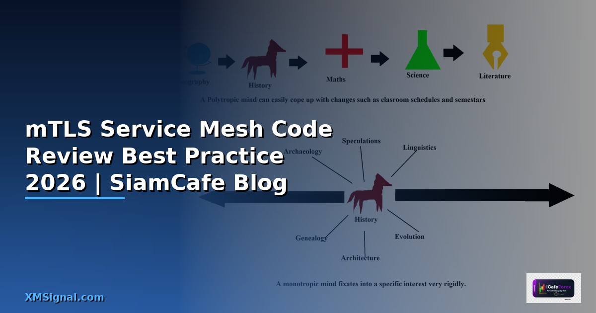 mTLS Service Mesh Code Review Best Practice