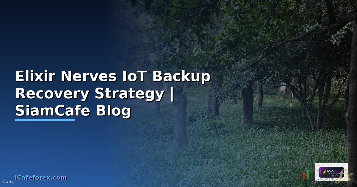 Elixir Nerves IoT Backup Recovery Strategy