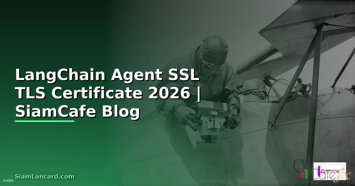 LangChain Agent SSL TLS Certificate