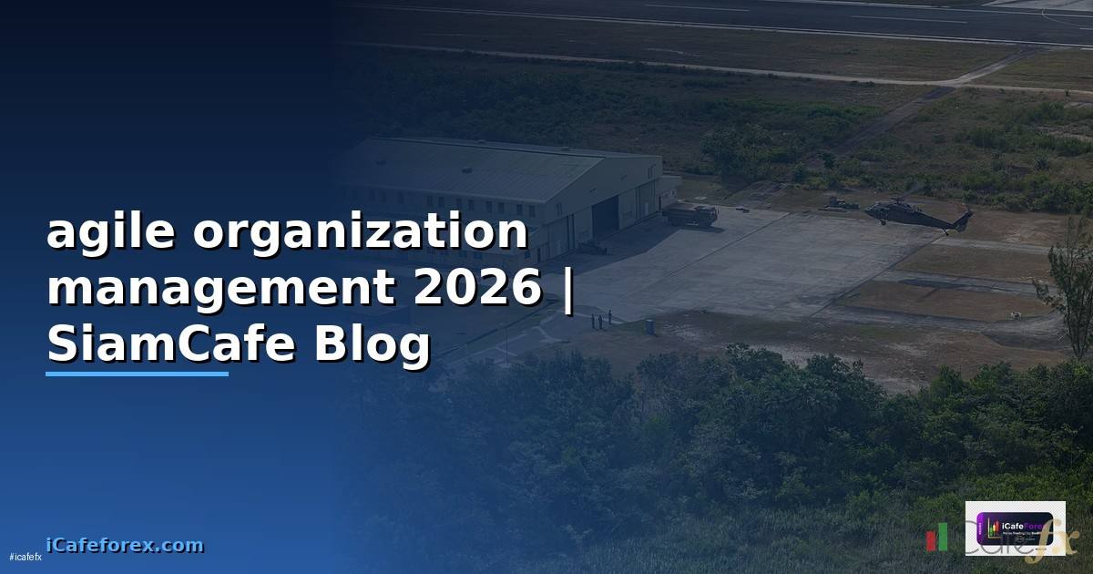 agile organization management คือ