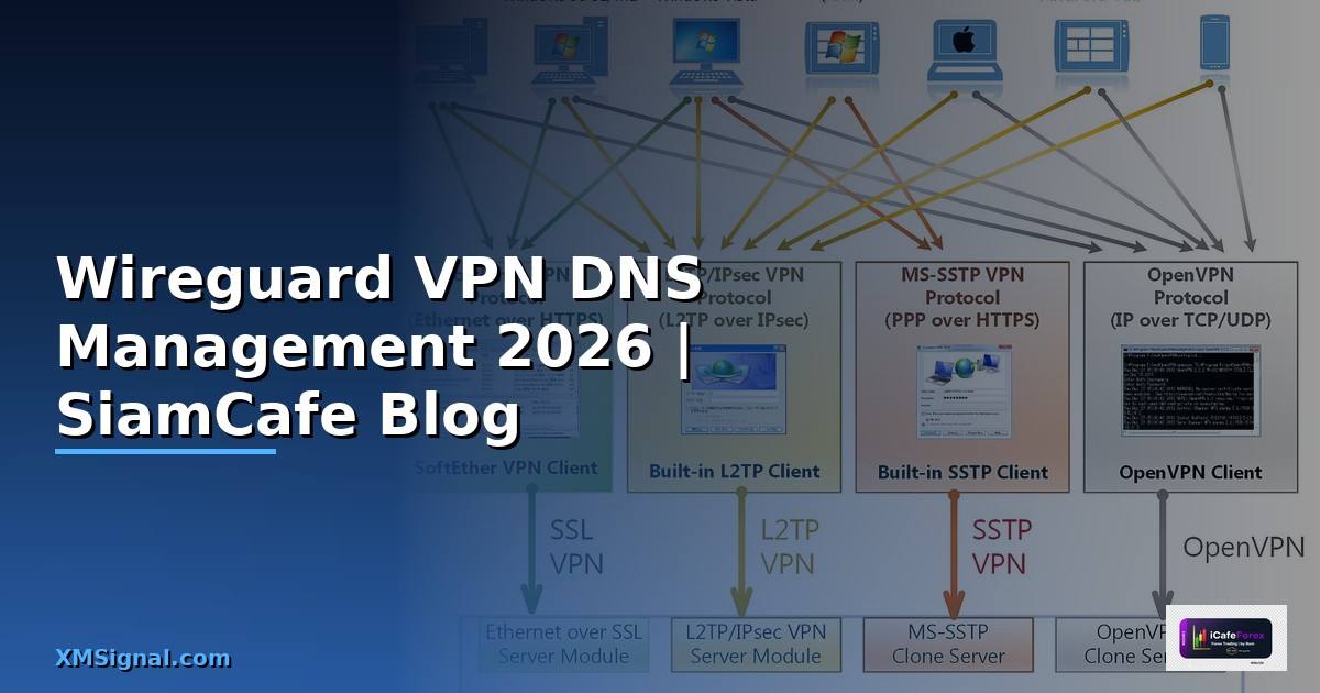 Wireguard VPN DNS Management — คู่มือฉบับสมบูรณ์ 2026