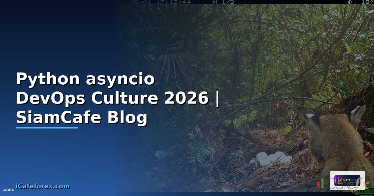 Python asyncio DevOps Culture