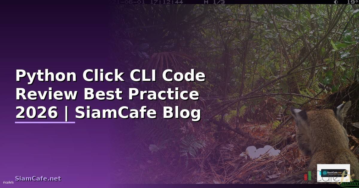 Python Click CLI Code Review Best Practice