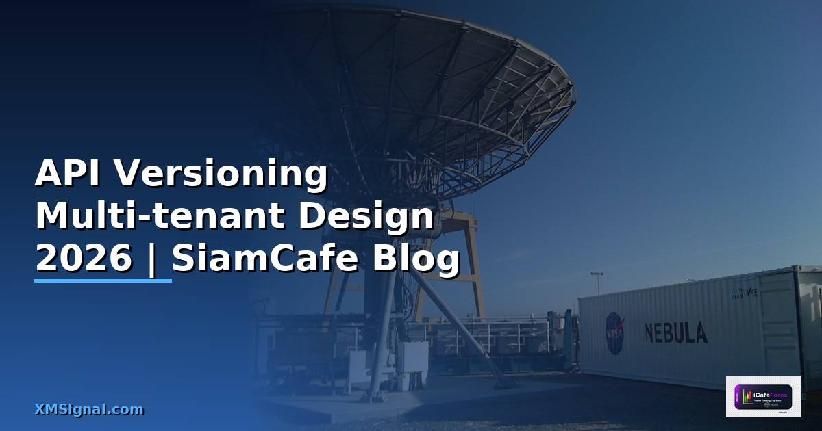 API Versioning Multi-tenant Design