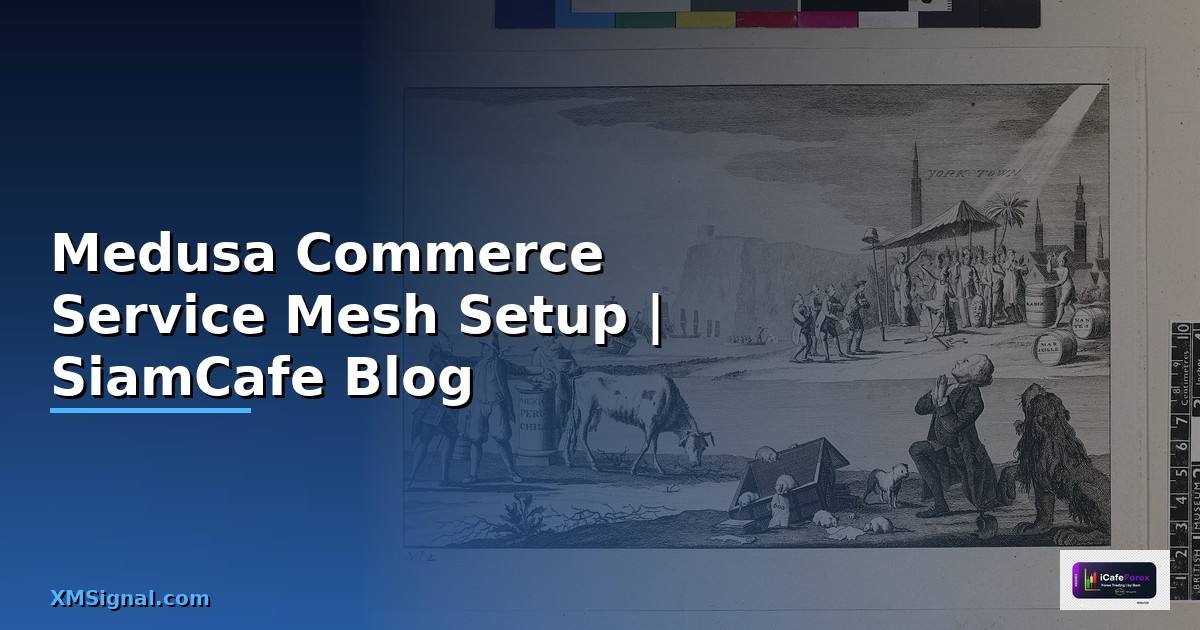 Medusa Commerce Service Mesh Setup
