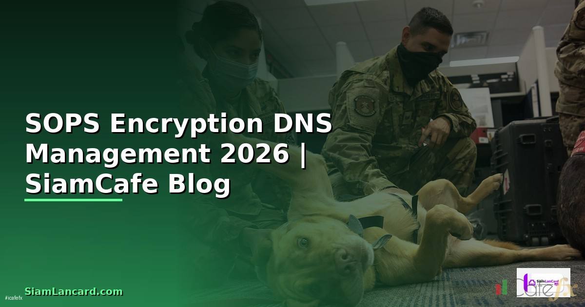 SOPS Encryption DNS Management — คู่มือฉบับสมบูรณ์ 2026