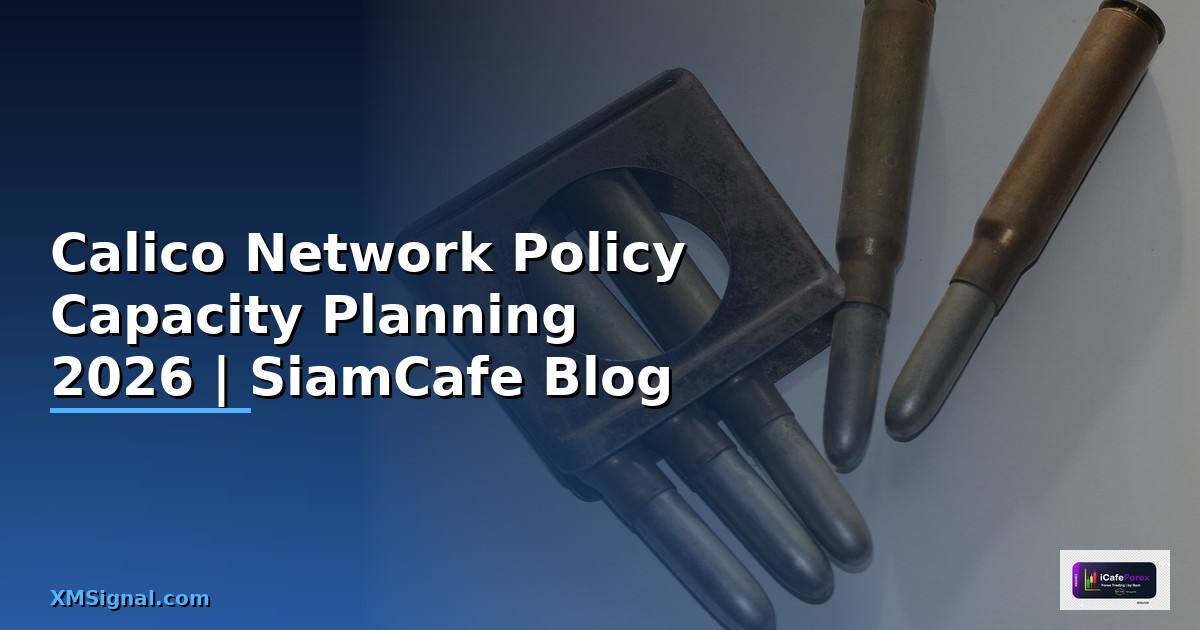 Calico Network Policy Capacity Planning