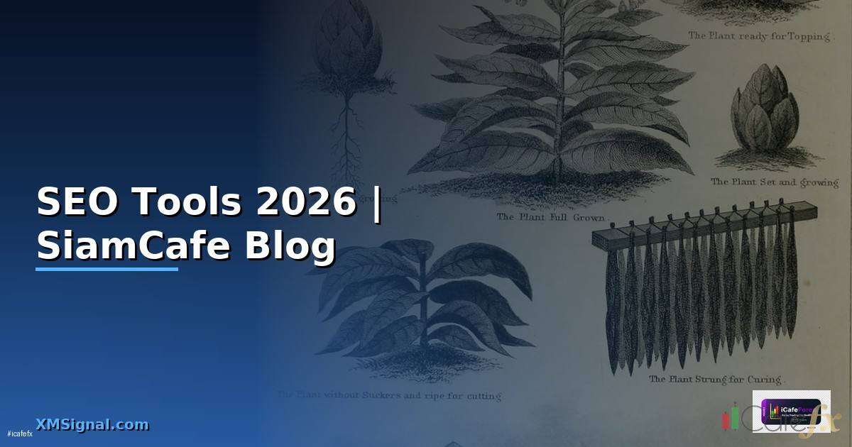 SEO Tools คืออะไร — ทุกสิ่งที่ต้องรู้ในปี 2026