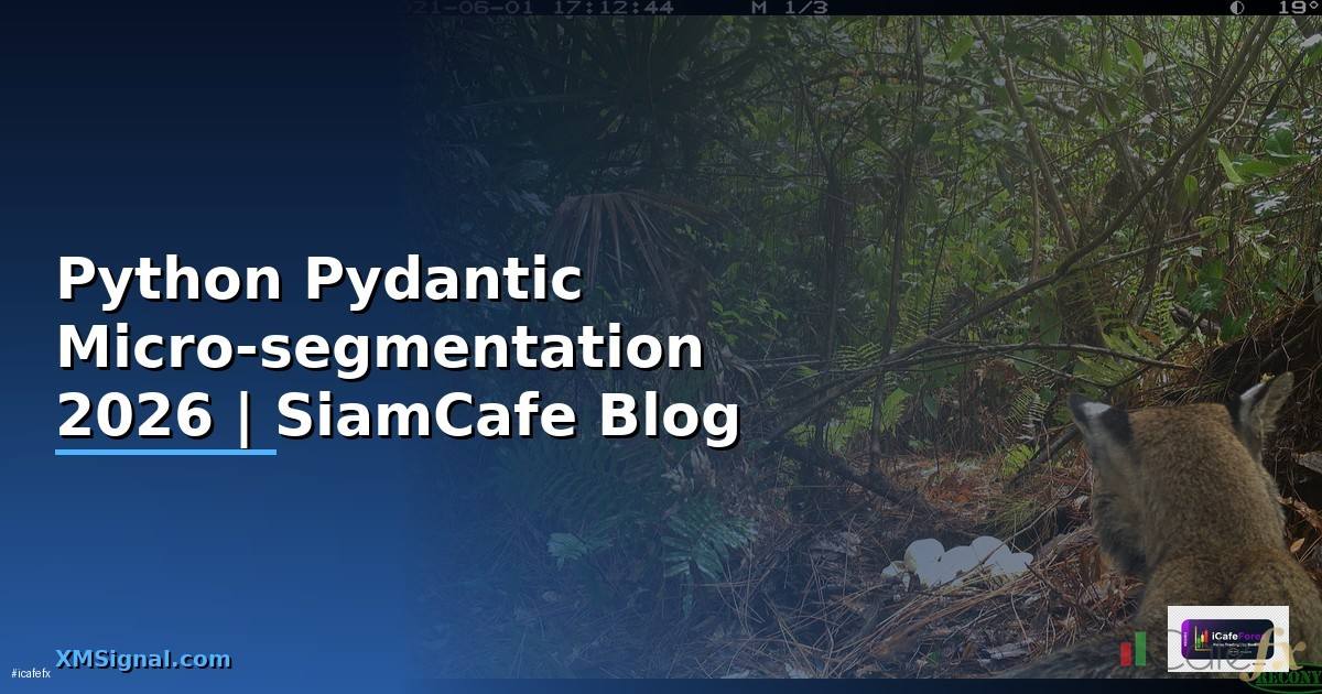 Python Pydantic Micro-segmentation