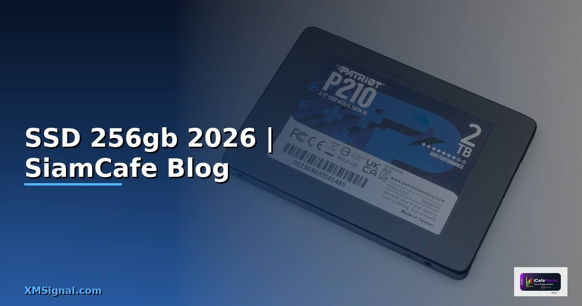 SSD 256gb คืออะไร — ทุกสิ่งที่ต้องรู้ในปี 2026
