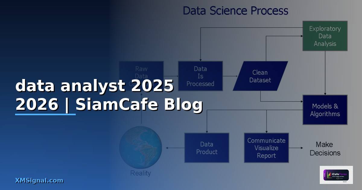 ฝึกงาน data analyst 2025