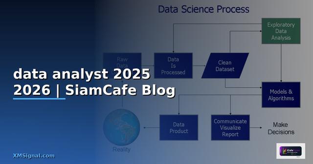 ฝึกงาน data analyst 2025