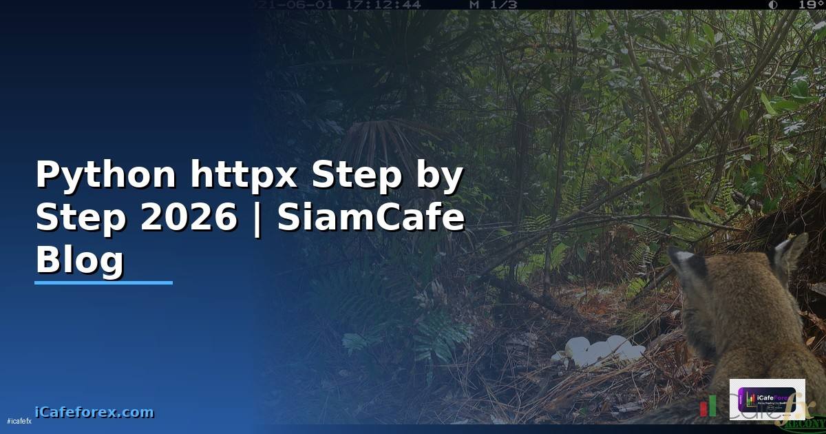 Python httpx สำหรับมือใหม่ Step by Step