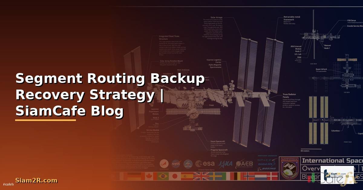 Segment Routing Backup Recovery Strategy