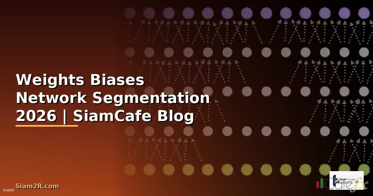 Weights Biases Network Segmentation