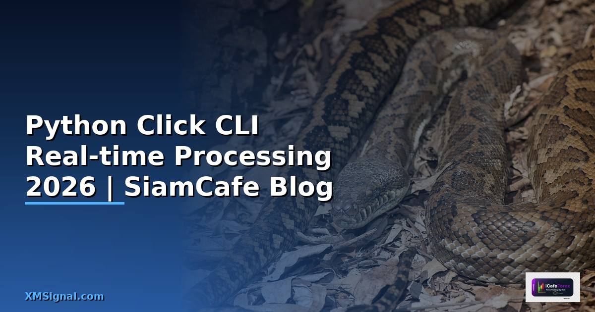 Python Click CLI Real-time Processing