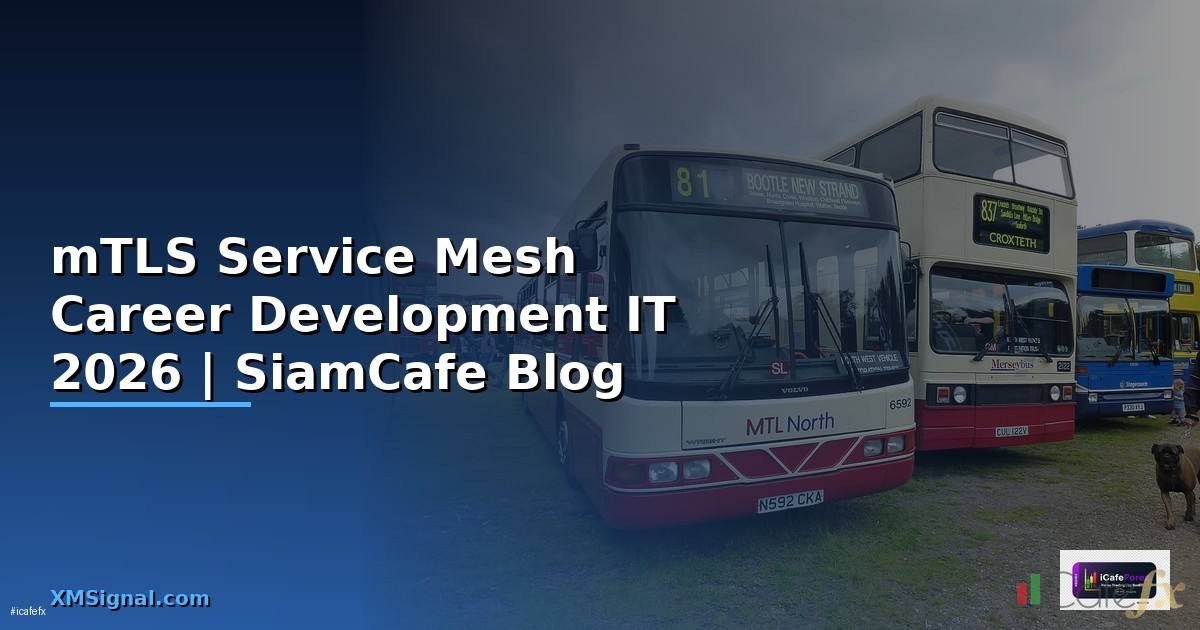 mTLS Service Mesh Career Development IT