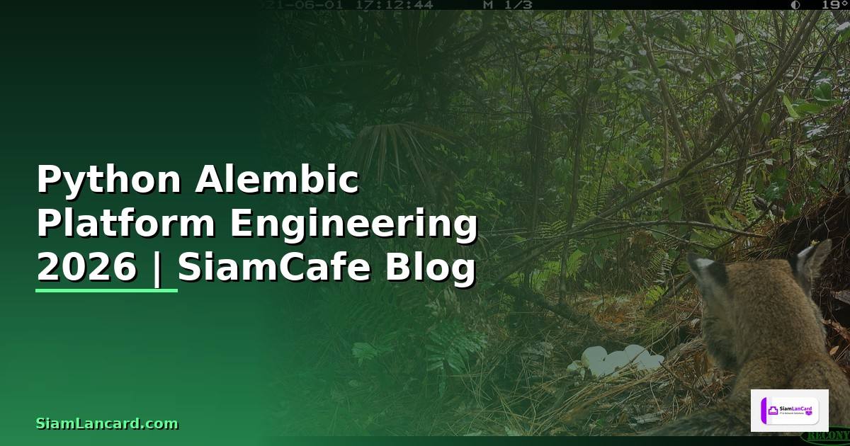 Python Alembic Platform Engineering