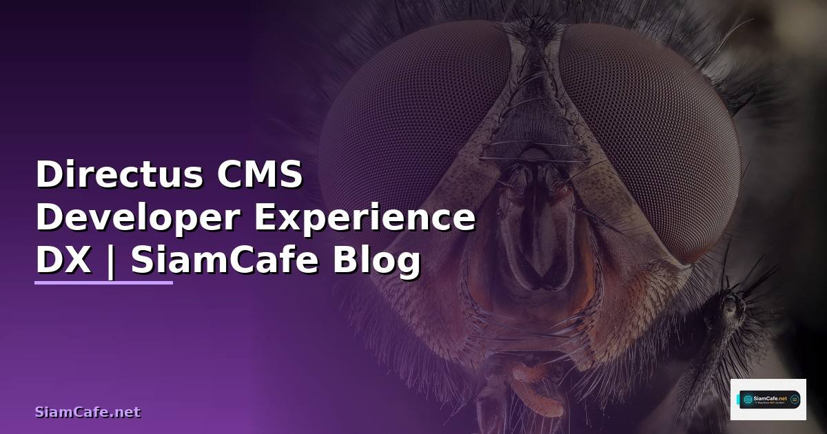 Directus CMS Developer Experience DX
