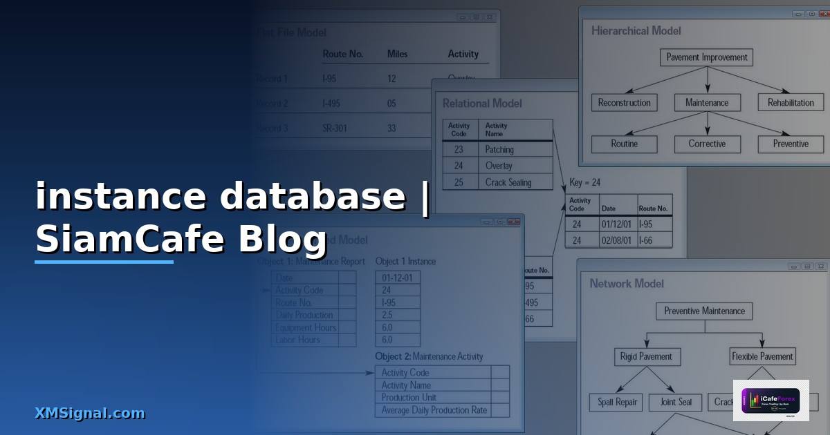 instance ใน database คือ