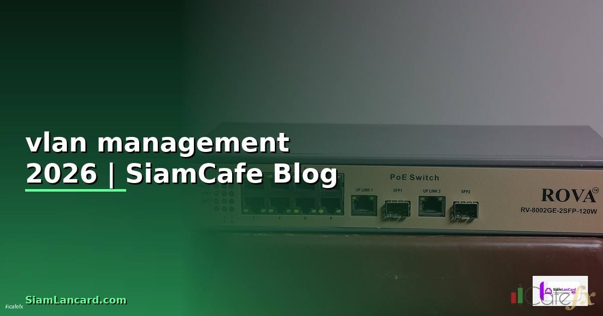 vlan management คือ