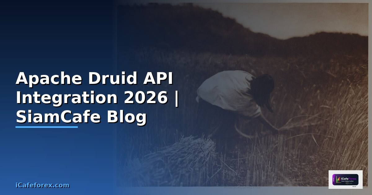 Apache Druid API Integration เชื่อมต่อระบบ