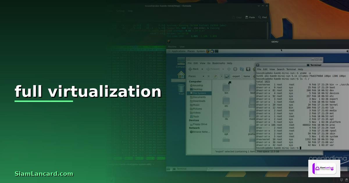 full virtualization คือ —