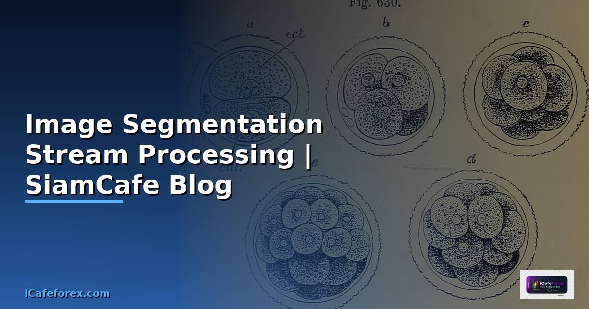 Image Segmentation Stream Processing