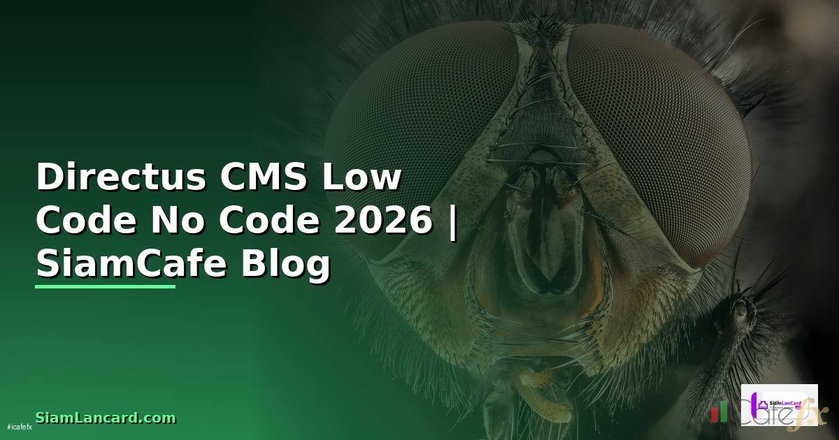 Directus CMS Low Code No Code