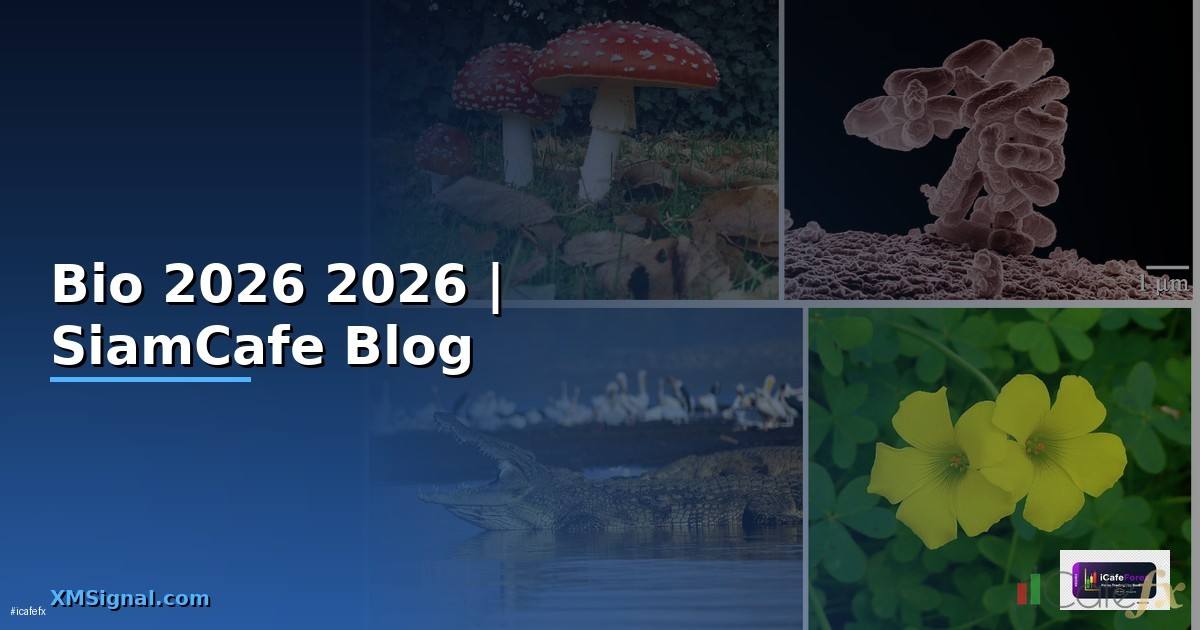 Bio — คู่มือฉบับสมบูรณ์ 2026