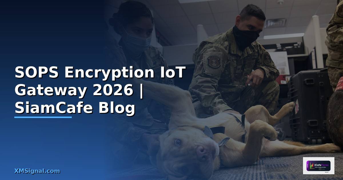SOPS Encryption IoT Gateway