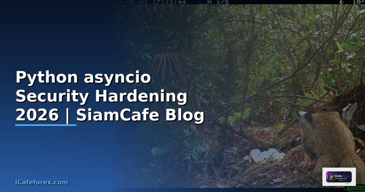Python asyncio Security Hardening ป้องกันแฮก