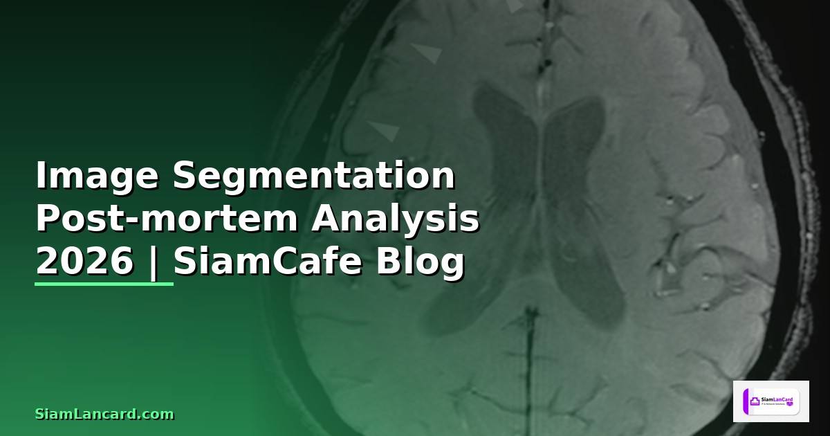 Image Segmentation Post-mortem Analysis