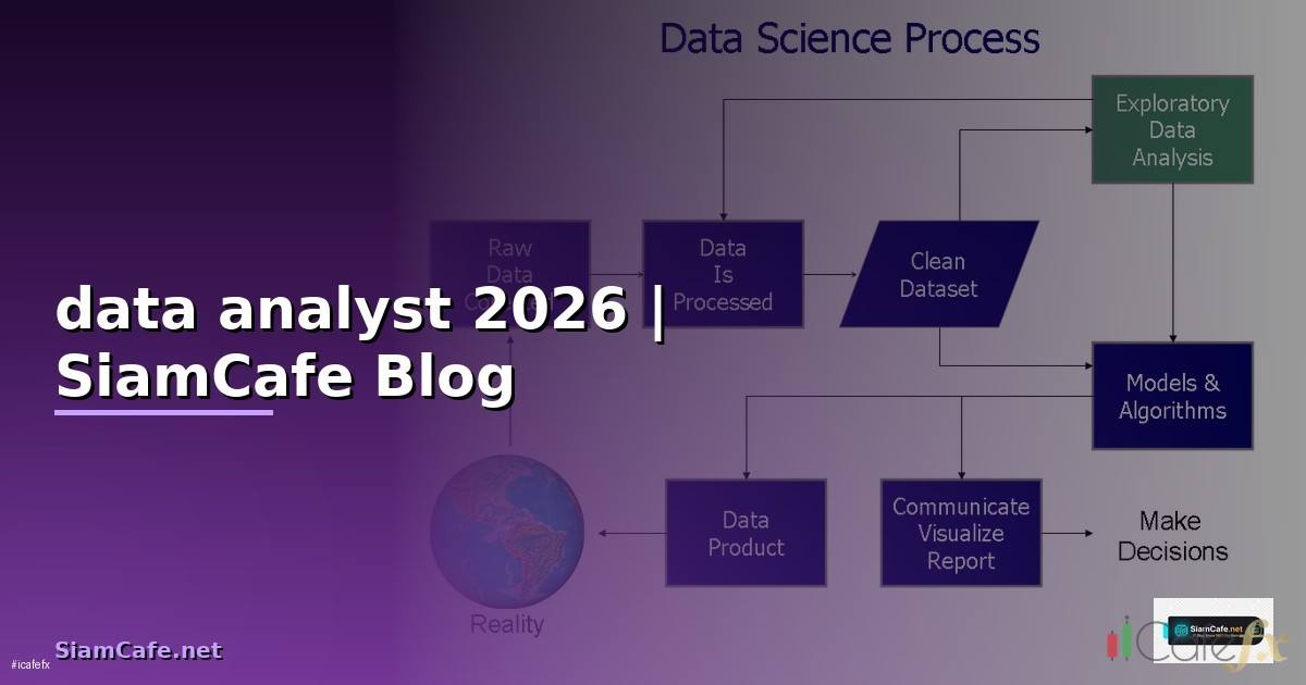 data analyst จบใหม่