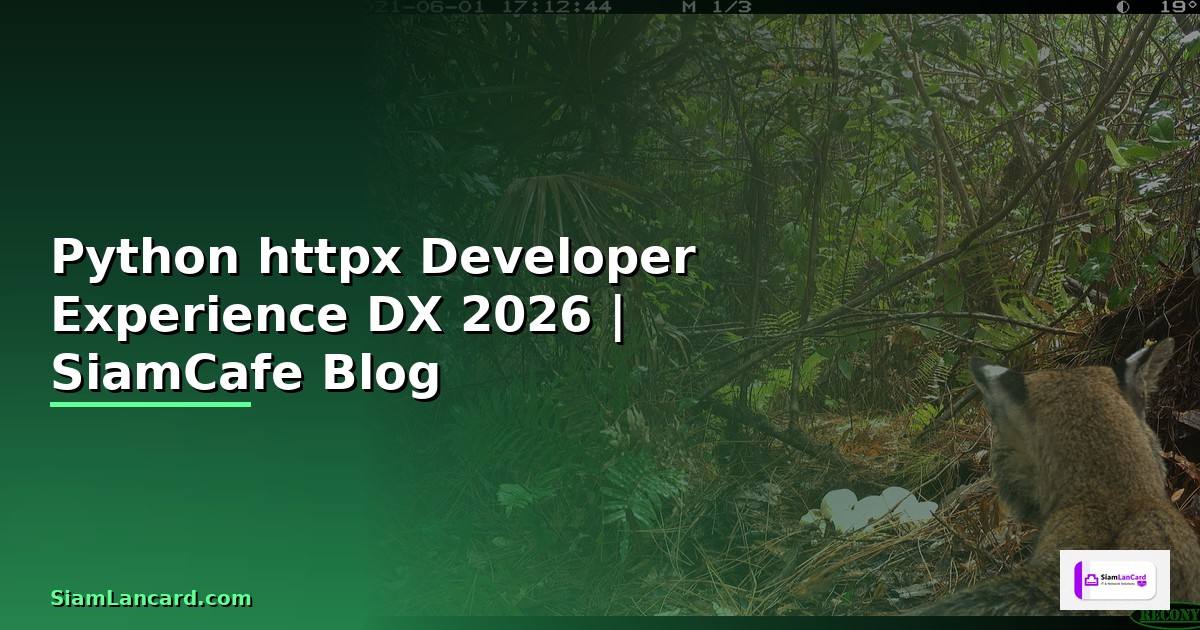Python httpx Developer Experience DX