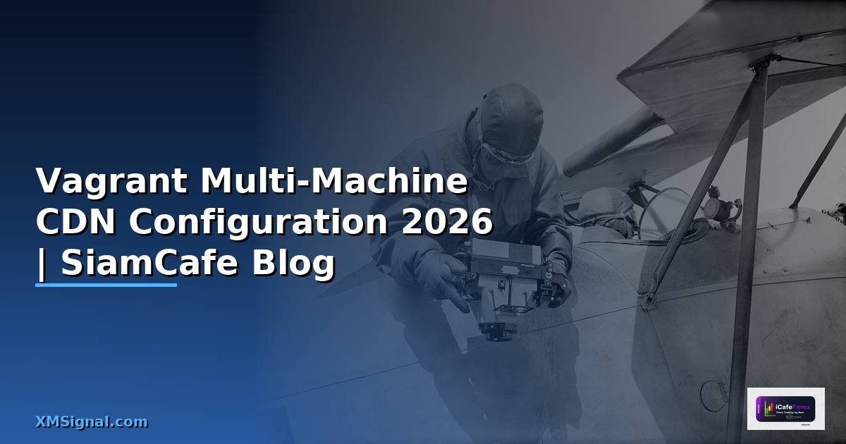 Vagrant Multi-Machine CDN Configuration