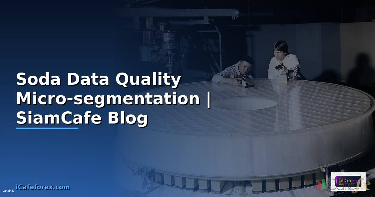 Soda Data Quality Micro-segmentation