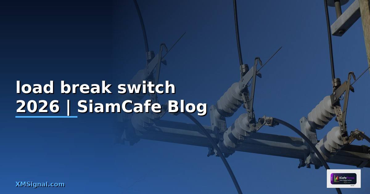load break switch คือ
