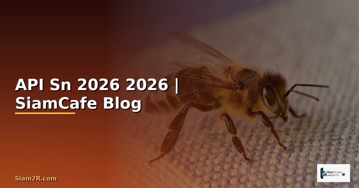 API Sn คืออะไร — คู่มือโปรแกรมมิ่ง 2026