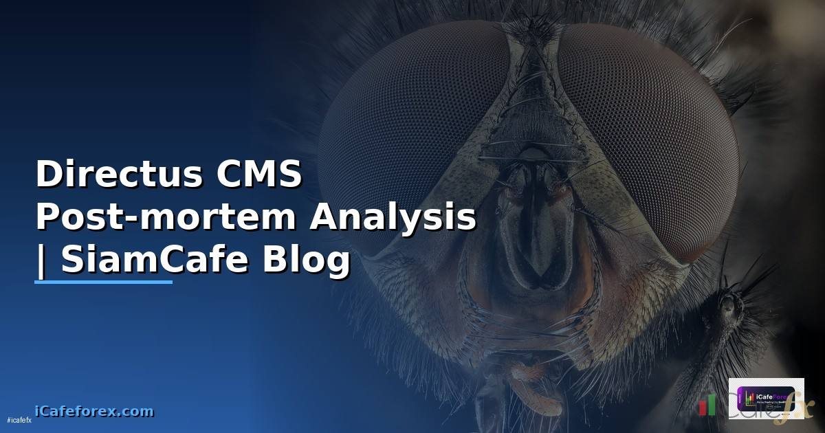 Directus CMS Post-mortem Analysis