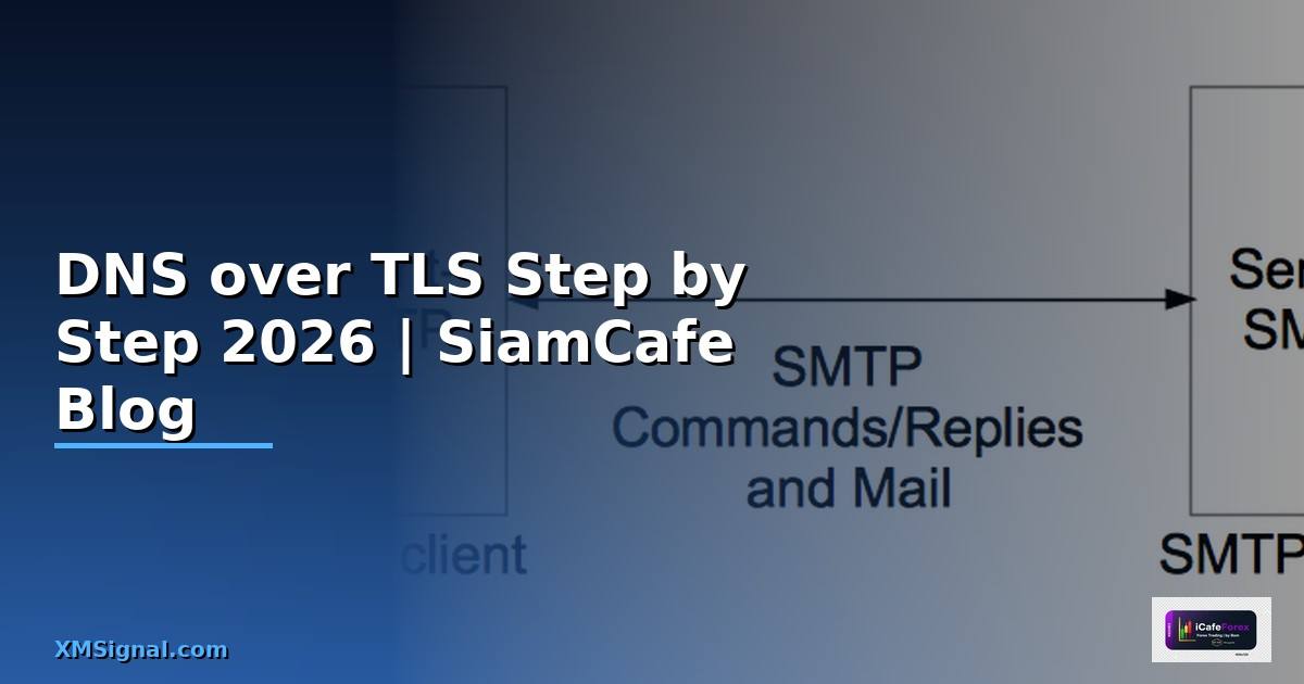 DNS over TLS สำหรับมือใหม่ Step by Step — คู่มือฉบับสมบูรณ์ 2026