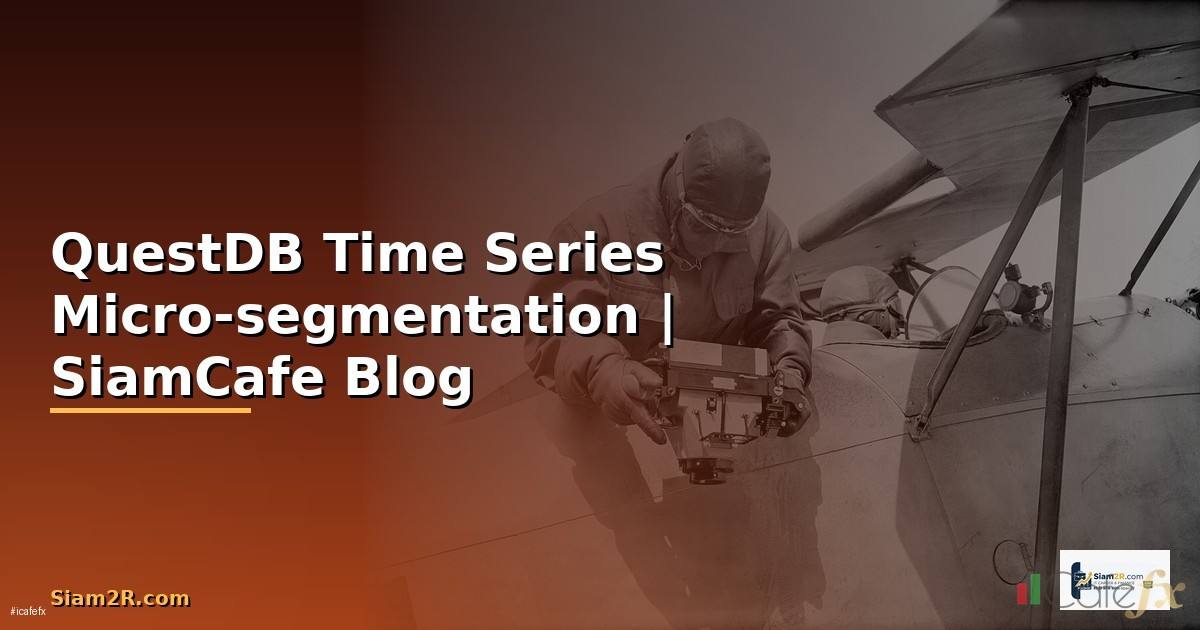 QuestDB Time Series Micro-segmentation