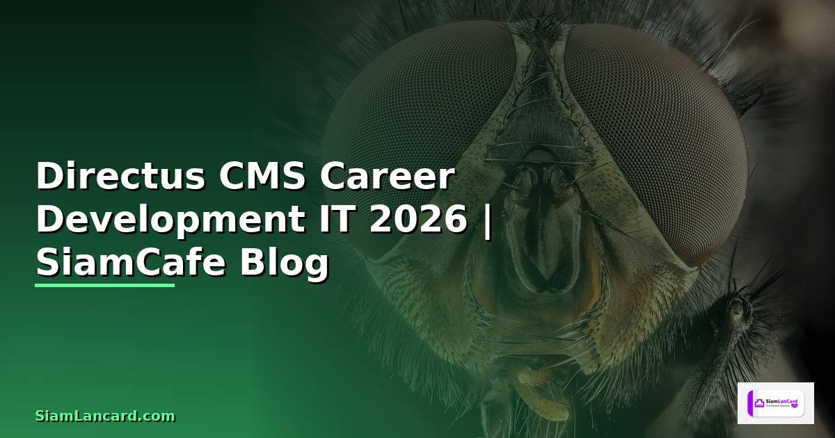 Directus CMS Career Development IT — คู่มือฉบับสมบูรณ์ 2026