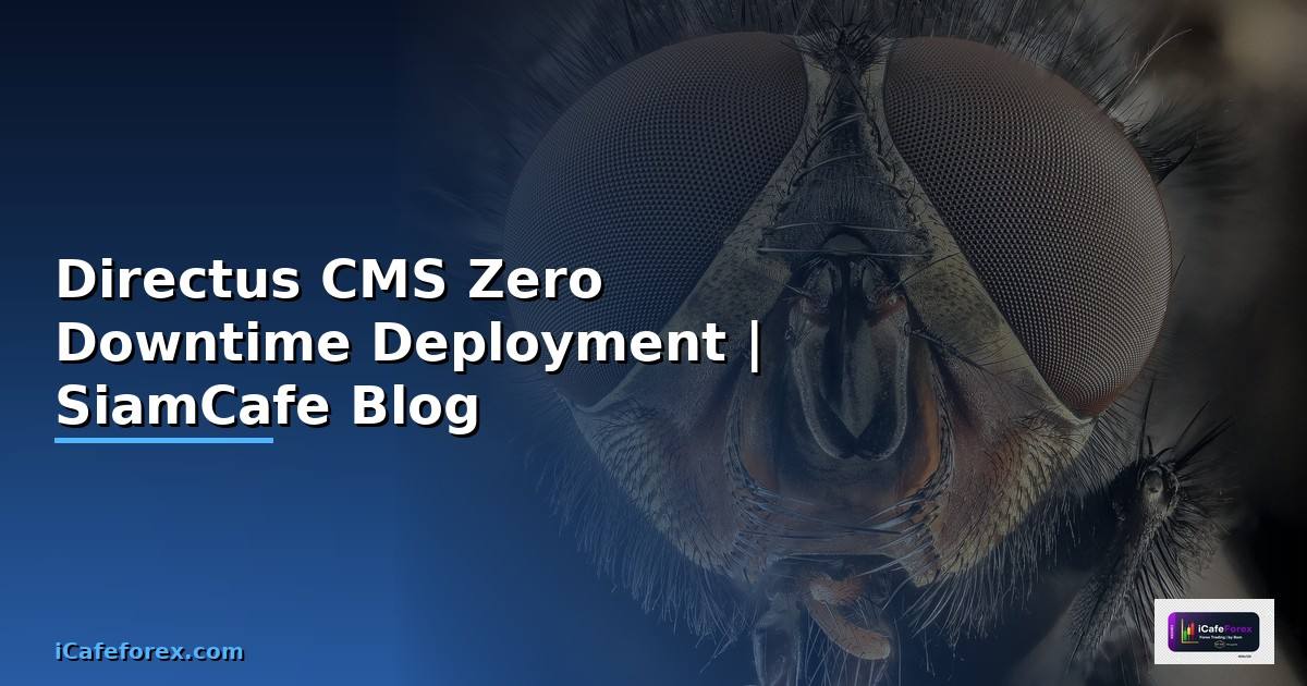 Directus CMS Zero Downtime Deployment
