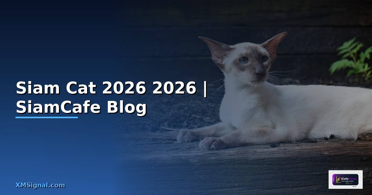 Siam Cat — คู่มือฉบับสมบูรณ์ 2026