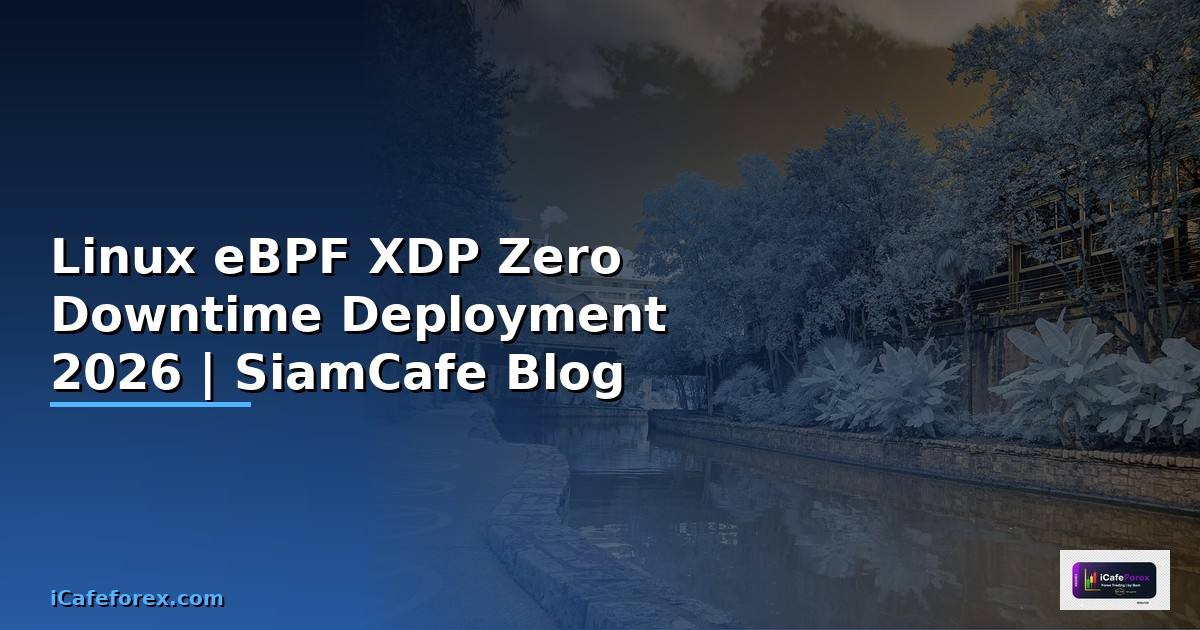 Linux eBPF XDP Zero Downtime Deployment
