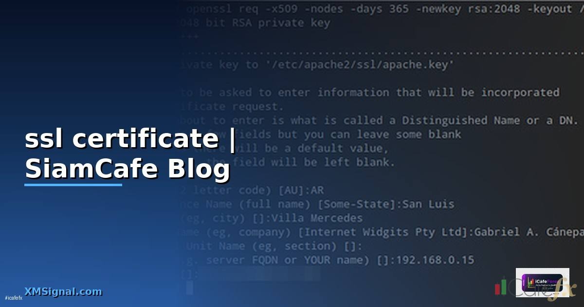 ssl certificate คือ
