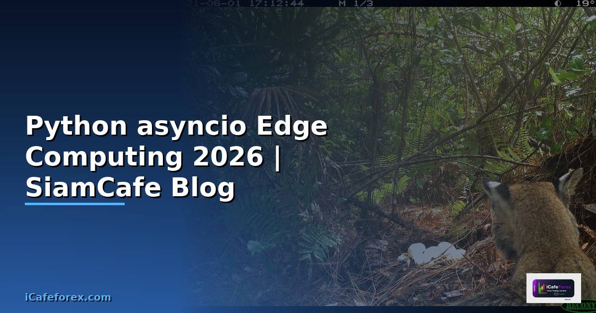 Python asyncio Edge Computing