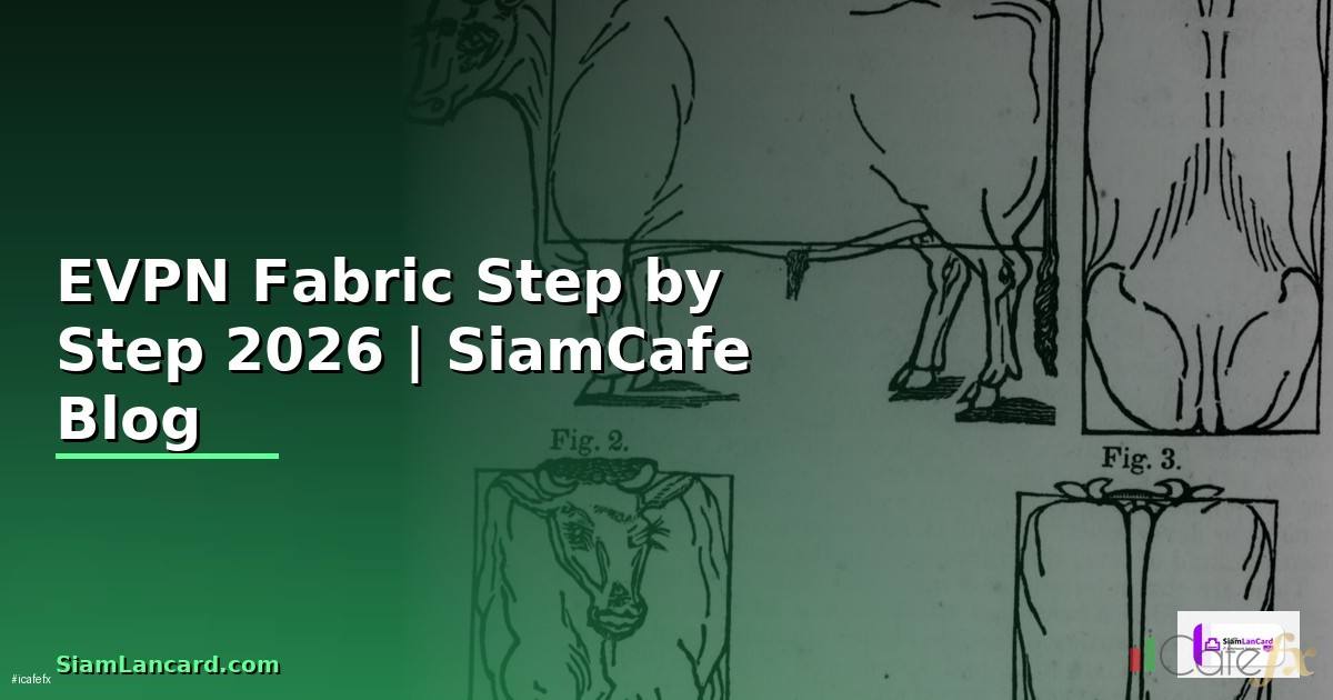 EVPN Fabric สำหรับมือใหม่ Step by Step