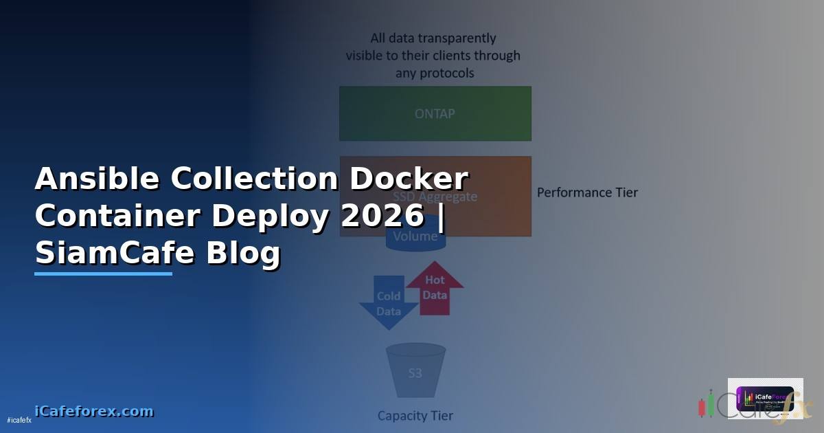Ansible Collection Docker Container Deploy